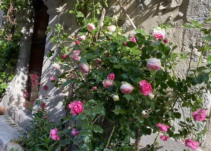 Les MIRABELLES chambres d'hôtes